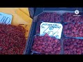 Мелитополь Херсон.Завален рынок продукцией в Крыму.Цены как в СССР.🙂