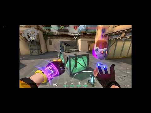 KJ Haven Plant Molly Lineup Guide A Green From A Lobby