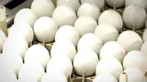 Embrex® Inovoject® System