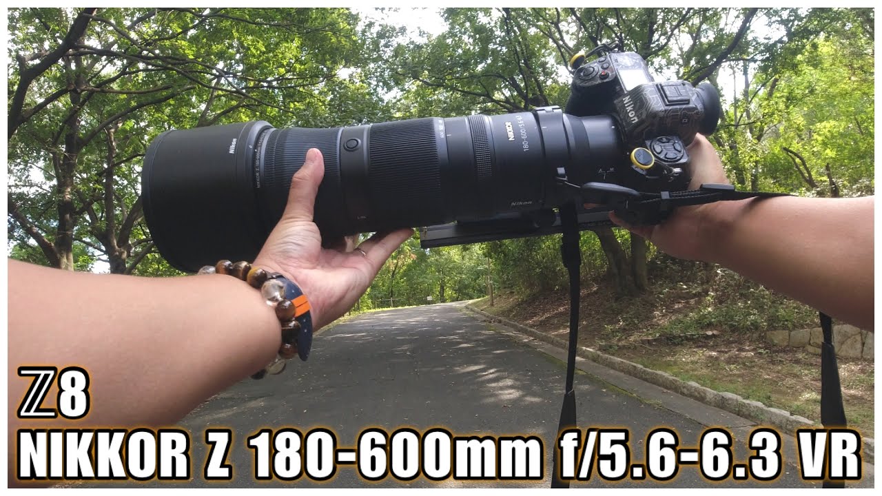 野鳥撮影】先ずは手持ちで試写！- Z8 × NIKKOR Z 180-600mm f/5.6-6.3