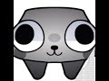 dono e pet