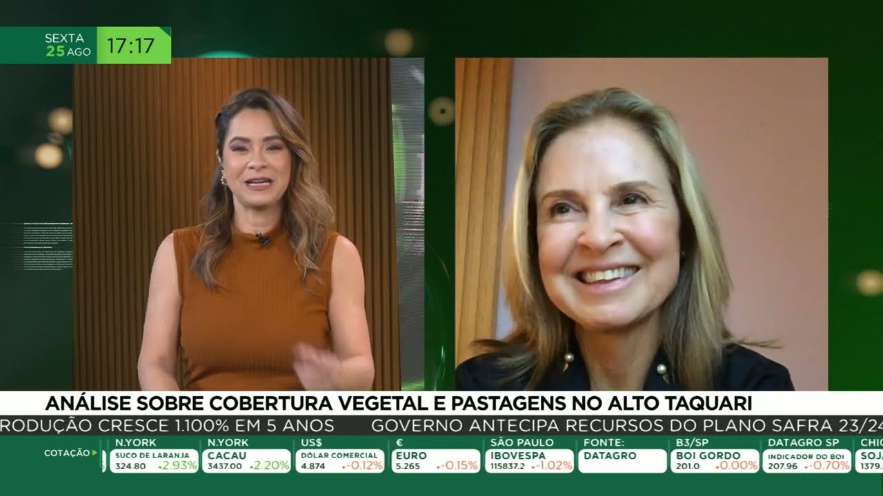 Análise sobre cobertura vegetal e pastagens no Alto Taquari