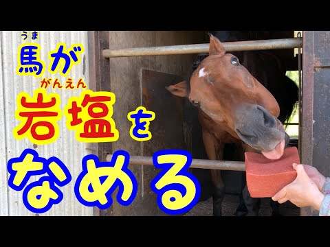 あかつき君 ページ3 なみあし会