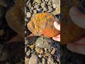 #rockhounding #jasper #agate #geologyrocks #gemstone