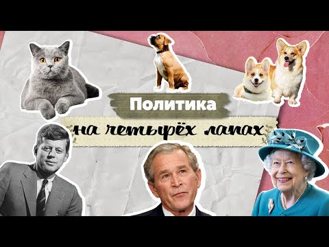 Животные Белого дома и Букингемского дворца. Любимые питомцы властителей мира