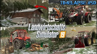 BAUM kracht auf HAUS! 🌲😰 RETTUNG & BRENNHOLZ machen mit STEYR! 💪🚜💨 | [LS19] - Timelapse #50 Walchen