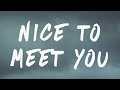 PinkPantheress - Nice To Meet You (Lyrics) Feat. Central Cee