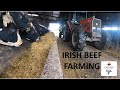 IRISH BEEF FARMERS WINTER DAY -- 12 HOUR WORK DAY EVERY DAY