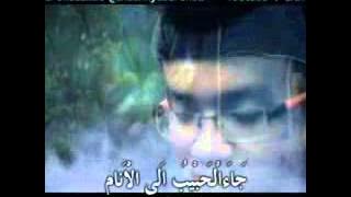 Ceng Zam Zam _ habibi