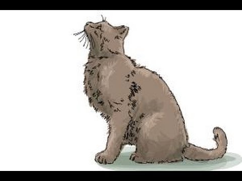 How to draw a Cat profile - YouTube