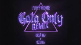 Gata Only REMIX - Floyymenor, Cris MJ, Ozuna (SIN ANITTA)
