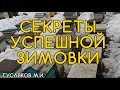 Успешная зимовка. Как лучше зимуют пчёлы? Гусляков М.И.