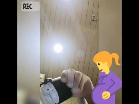 بن تي تي سباز تس شا إيش شيلة ال