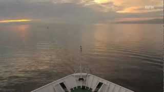 We Will Shine (Original Song) by nachtrokker