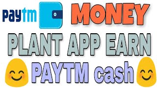 MONEY PLANT APP EARN PAYTM CASH😊😊☺ screenshot 2
