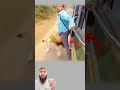 لحظة هدوء تحولت فوضى سيارة تمشي ورجل متعلق وزئير أسد يشق الصمت ثم سقوط بلا إنذار 