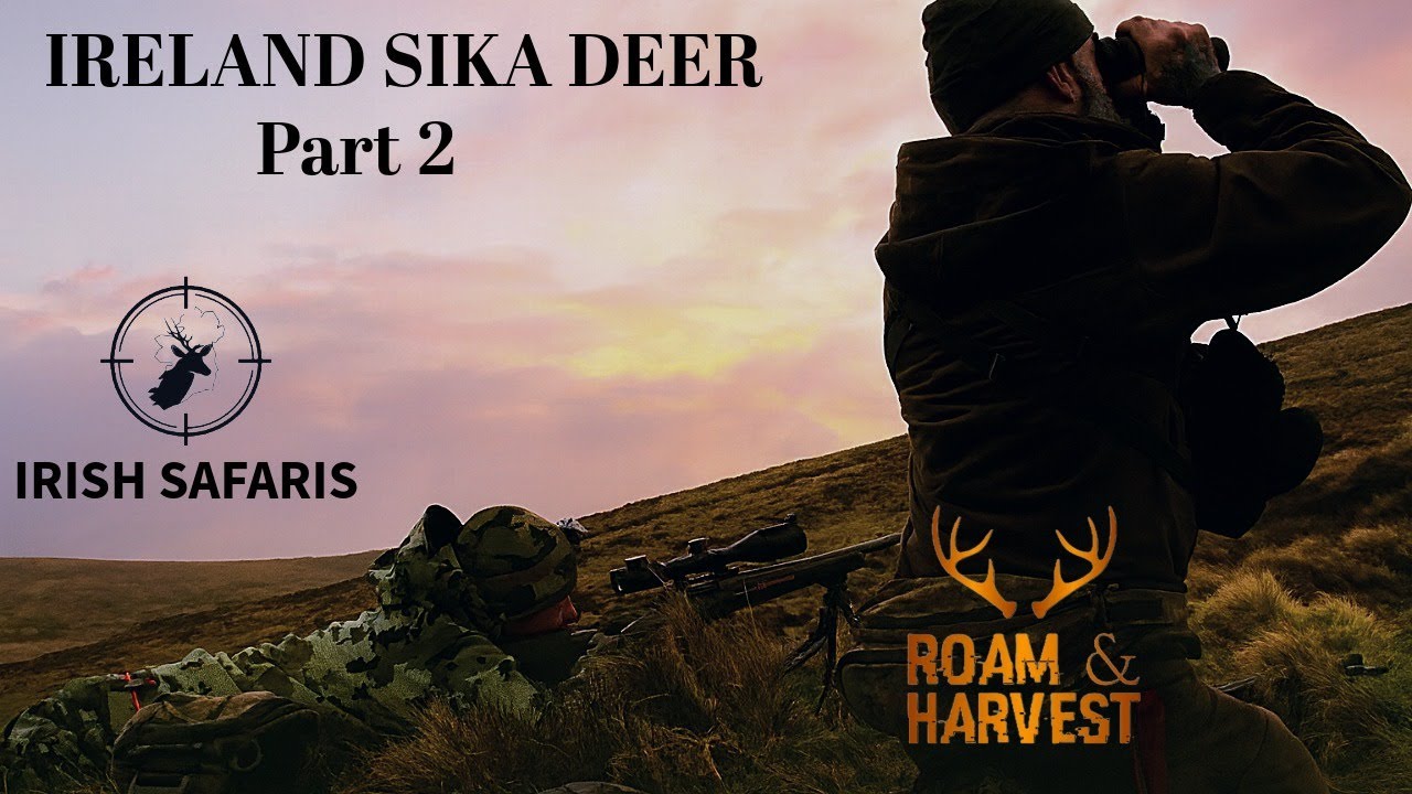 Ireland Sika Deer Hunt (Part 2) | Roam & Harvest Season 2