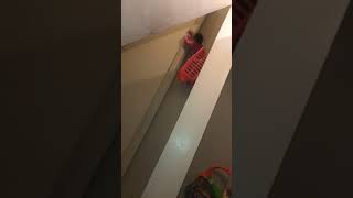 Kid goes down stairs in basket and faceplants