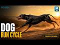 How to Animate a Dog Run Cycle in Maya Full Breakdown How to Animate a Dog Run Cycle in Maya Full Breakdown