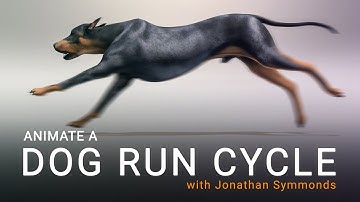 Animate a Dog Run Cycle