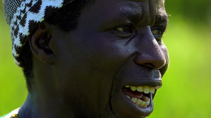African rice farmers test traditions against NY cl...