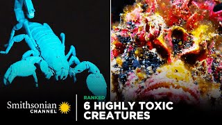 6 Highly Toxic Creatures  Smithsonian Channel