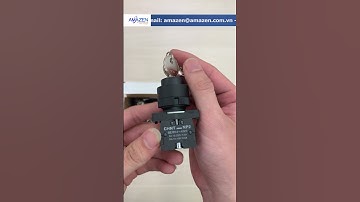 Công tắc xoay 2 CHINT NP2-EG41 | Amazen.com.vn