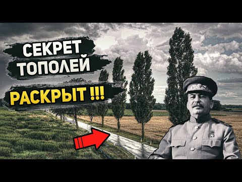 Видео: Как бихте измерили културната компетентност във вашата организация?