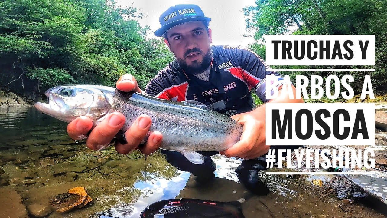 Pescamos un monton de TRUCHAS y BARBOS | PAIS VASCO FISHIING TRIP Parte 2