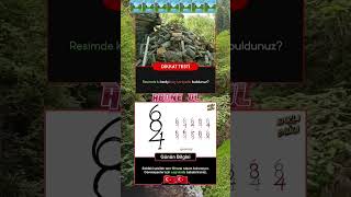 Kediyi Kaç Saniyede Buldun? 👀 %90 Yanılıyor!