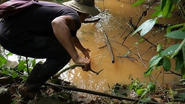 Đi cắm câu cá suối, nước mưa về tràn bờ ✅