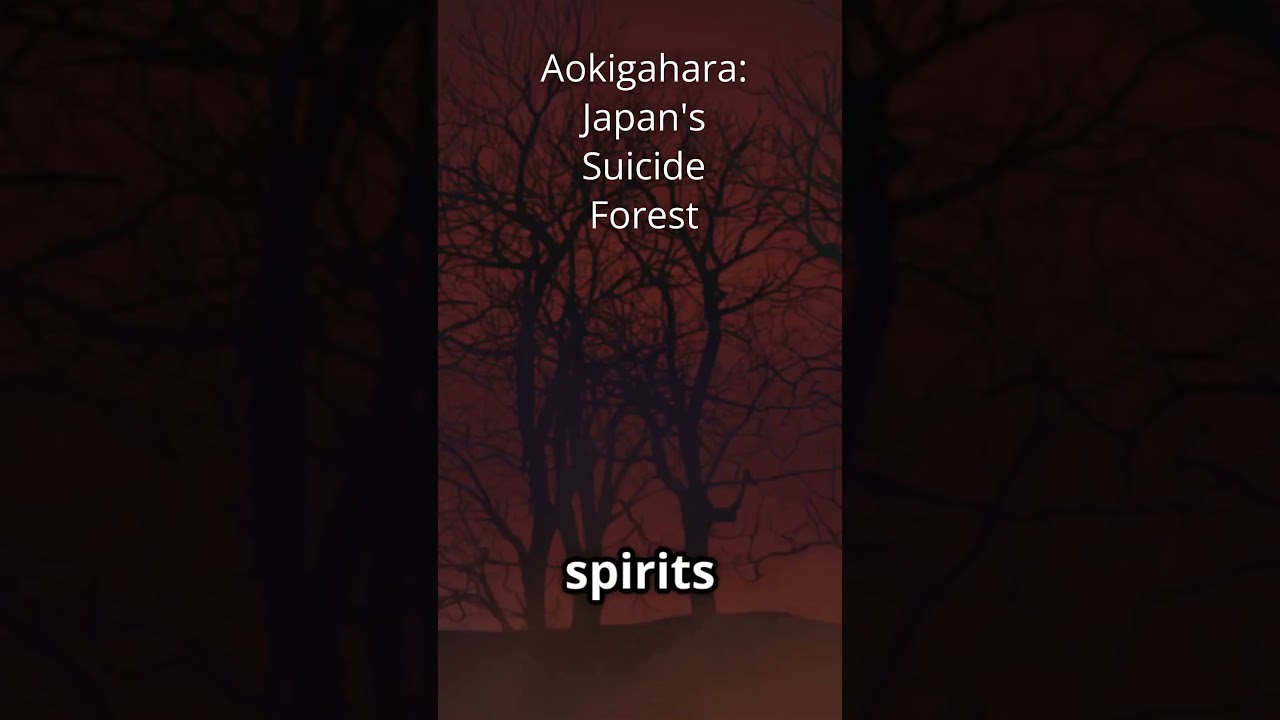 Aokigahara: Japan's Suicide Forest! 
