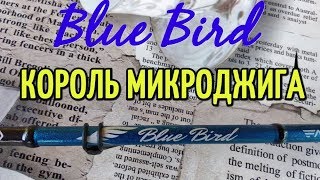 Большой обзор спиннинга Favorite Blue Bird. Лучший спиннинг для микроджига