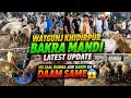 Watgunj Khidirpur Bakra Mandi Update | Iss Saal Dumba Aur Bakre Ki Keemat Same #bakramandi #dumba