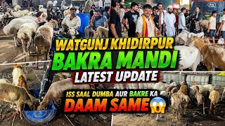 Watgunj Khidirpur Bakra Mandi Update | Iss Saal Dumba Aur Bakre Ki Keemat Same #bakramandi #dumba