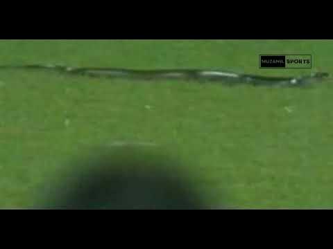 WATCH: Snake stops play during T20I between India and South Africa