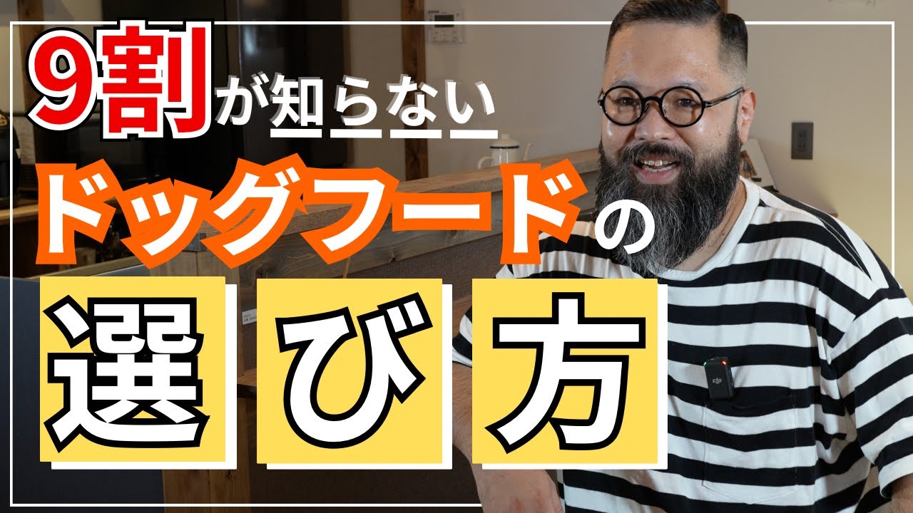 犬のフード選びに迷っている人必見！マグさんのドッグフード選びが深すぎて最高だった