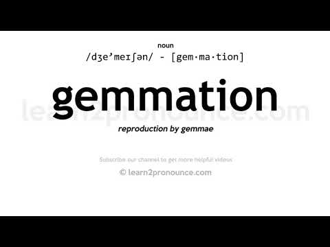 Pronunciation of Gemmation | Definition of Gemmation