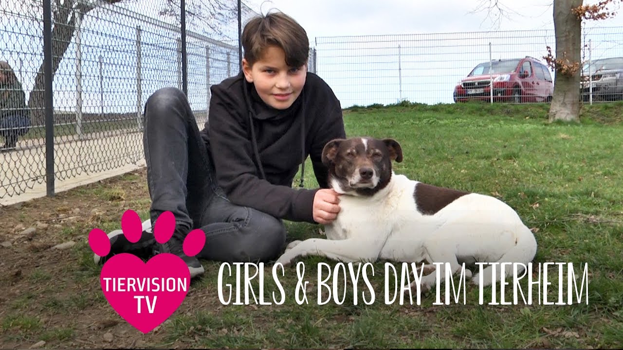 Im Tierheim Am Girls Boys Day Youtube
