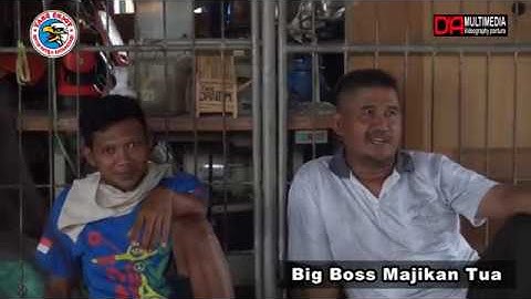 MBOKE BOCAH Voc,ASEP BRAJA TUMAMA| RICCO PUTRA EDISI LATIHAN