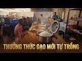 Công Đồng II Trầm Trồ Với Bữa Cơm Gạo Mới