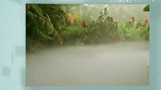 NYASHINSKI - MALAIKA LYRICS