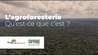 L'AGROFORESTERIE QU'EST CE QUE C'EST ?