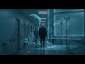 “Ted Kaczynski The Unabomber’s Life in America’s Harshest Prison ADX Florence Documentary”