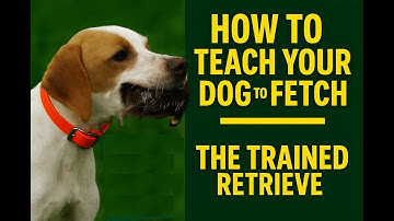 How To Teach Your Dog To Fetch -- The Trained Retrieve Made Easy