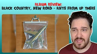 Composer Reacts to Black Country, New Road - Ants From Up There (REACTION & ANALYSIS & ALBUM REVIEW)