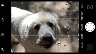 TidBITS: Using the Camera Zoom Button on "Big iPhones" screenshot 3