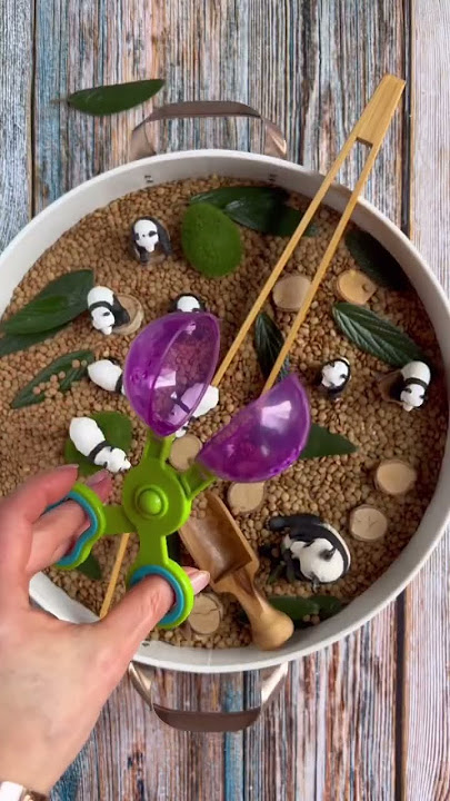 Panda 🐼 Small-world #sensorybin #sensoryplay #preschool #montessori #montessoriathome #panda