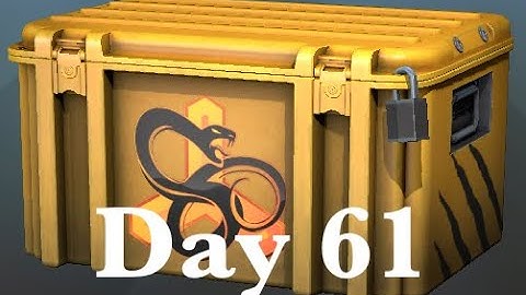 Opening a CS:GO snakebite case until I get a gloves #61