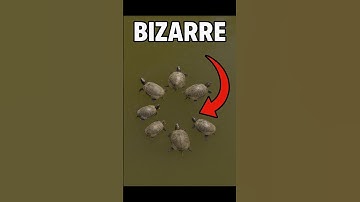 DO NOT TOUCH THE SOUND!!!